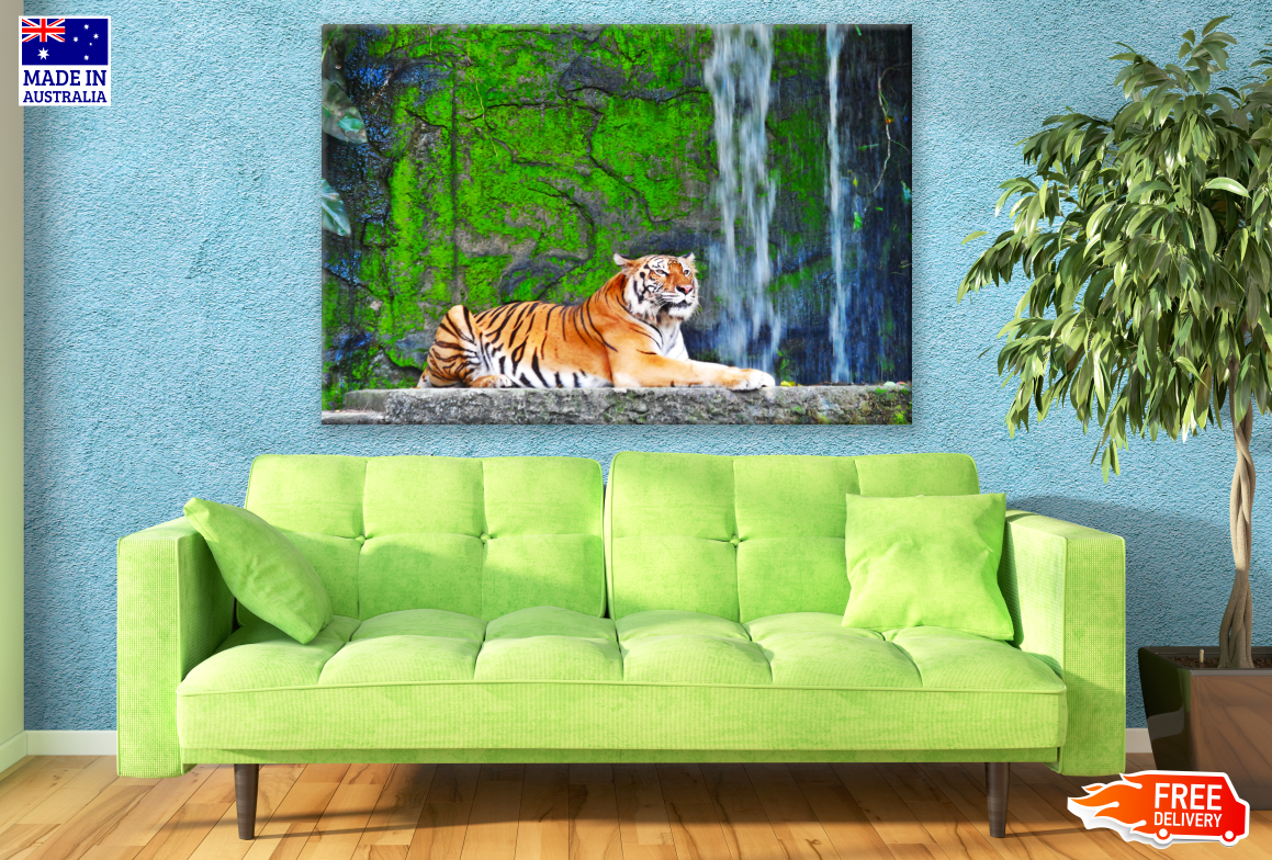 Tiger in Forset WaterFall Photograph Print 100% Australian Made