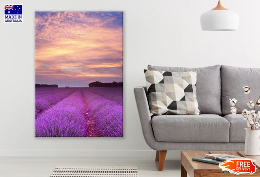 Lavender Field In Provence Print 100% Australian Made