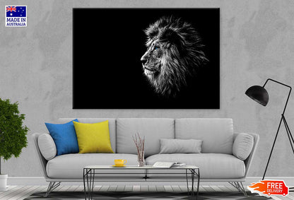 Blue Eye Lion in Dark Photograph Print 100% Australian Made