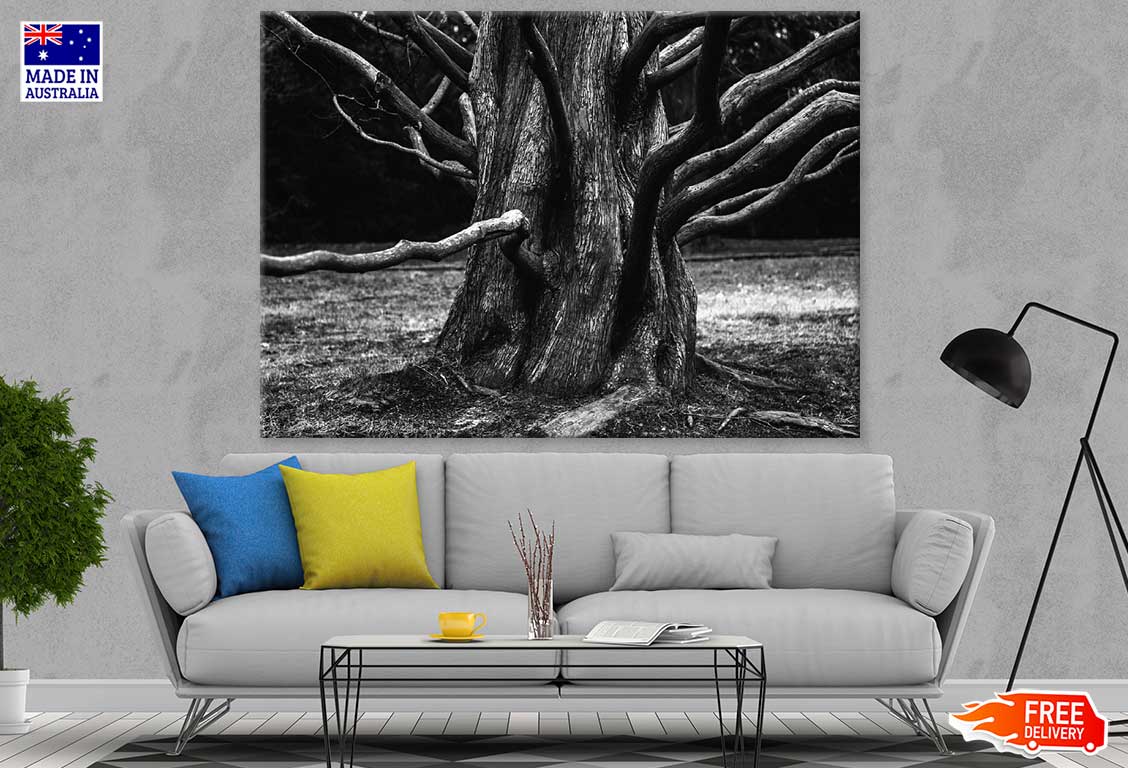 Tree Closeup B&W Photograph Print 100% Australian Made