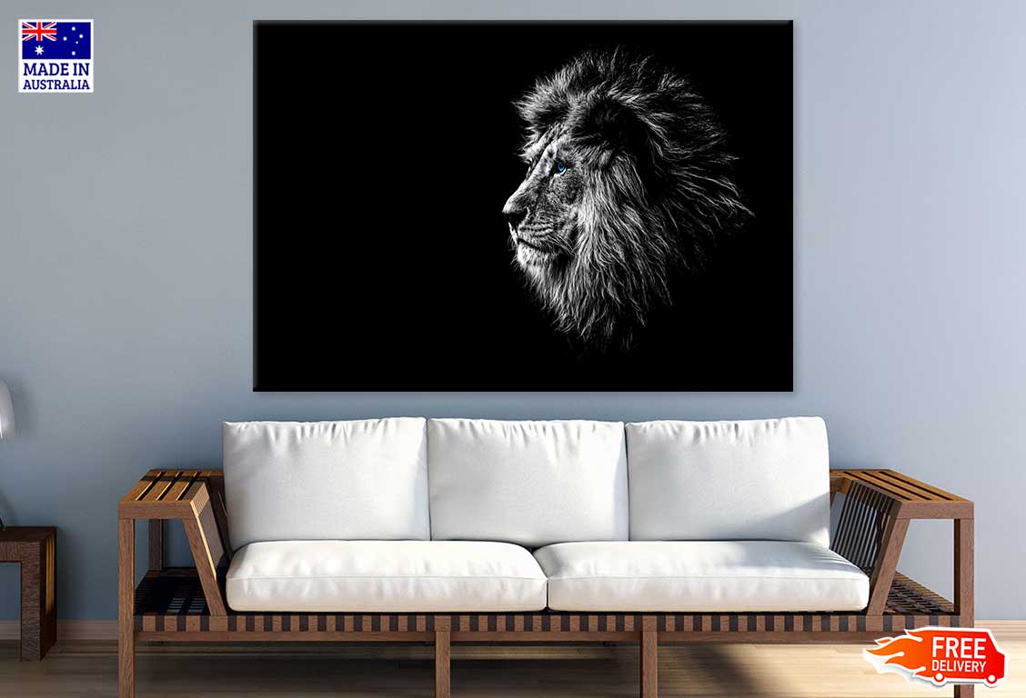 Blue Eye Lion in Dark Photograph Print 100% Australian Made