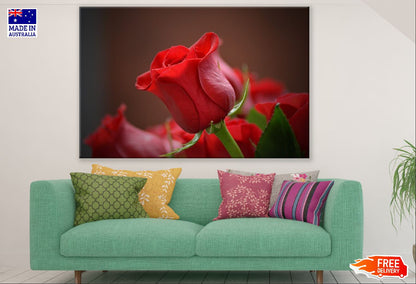 Rose Flower Closeup Photograph Print 100% Australian Made