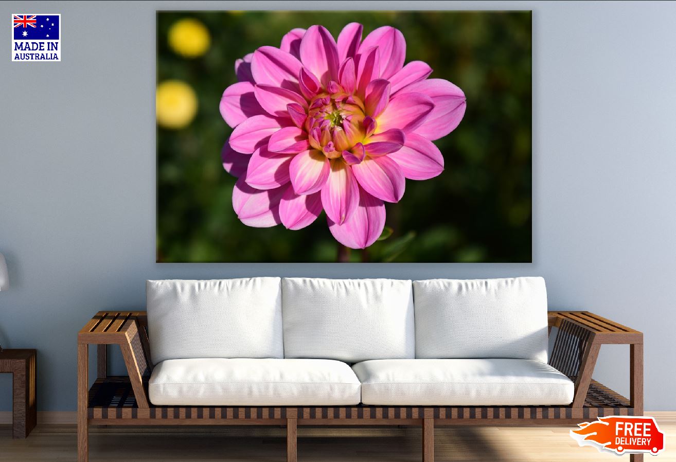 Pink Dahlia Flower Closeup Photograph Print 100% Australian Made