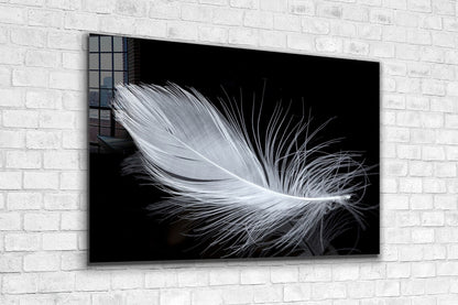 White Feather View Print Tempered Glass Wall Art 100% Made in Australia Ready to Hang