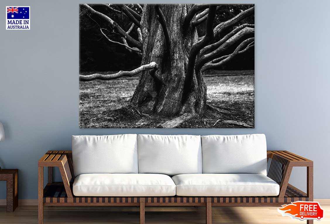 Tree Closeup B&W Photograph Print 100% Australian Made