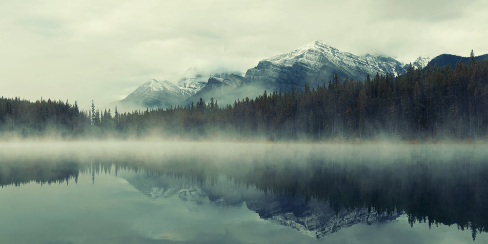 Misty Lake near Forest Photograph Home Decor Premium Quality Poster Print Choose Your Sizes