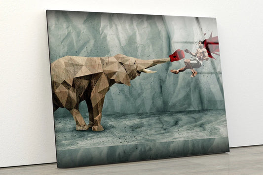 Elephant & Boxer Abstract Design Acrylic Glass Print Tempered Glass Wall Art 100% Made in Australia Ready to Hang