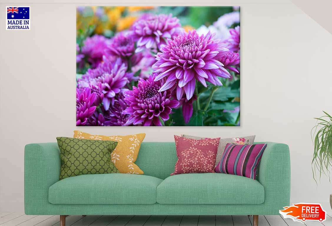 Purple Shevanti Flowers View Photograph Print 100% Australian Made