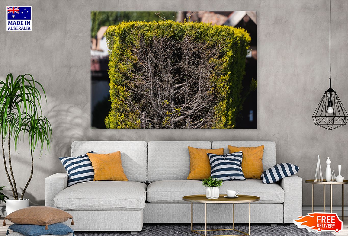 Green Ornamental Bush in Garden Photograph Print 100% Australian Made