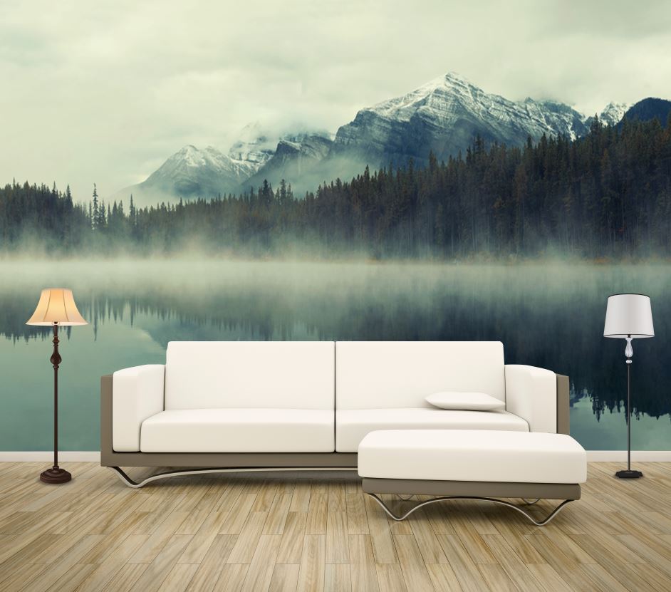 Wallpaper Murals Peel and Stick Removable Misty Forest Photograph High Quality