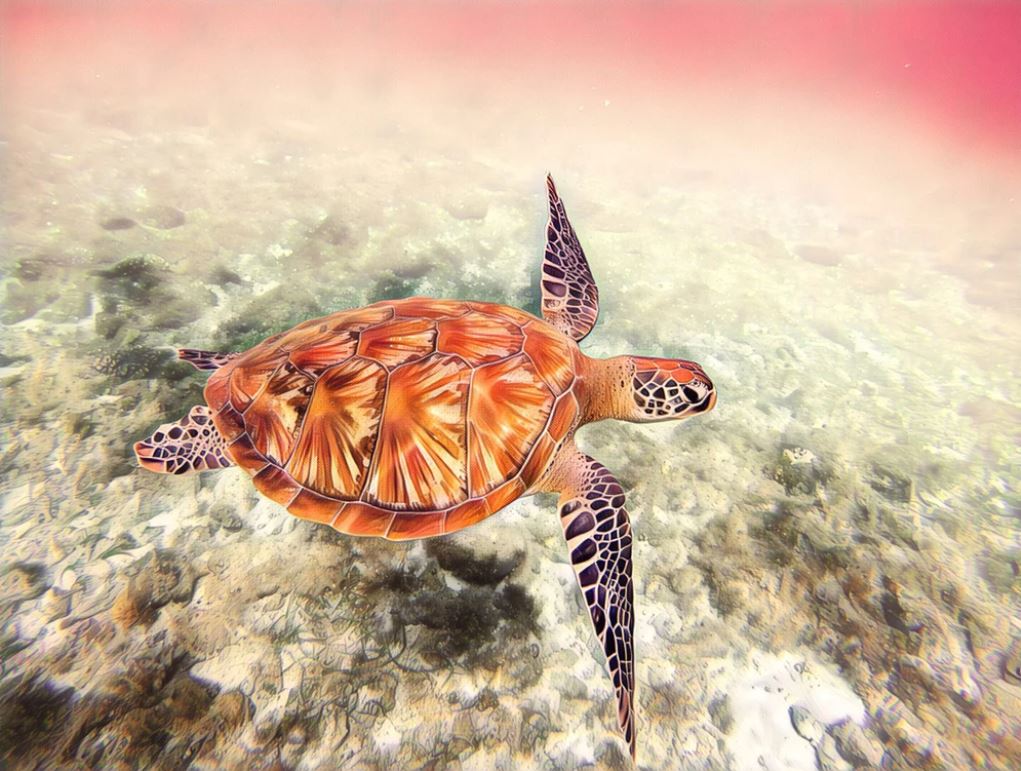 Sea Turtle Underwater Painting Home Decor Premium Quality Poster Print Choose Your Sizes