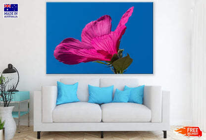 Pink Swamp Hibiscus Flower Closeup Photograph Print 100% Australian Made