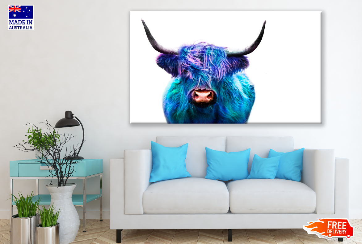 Blue Purple Highland Cow Photograph Print 100% Australian Made