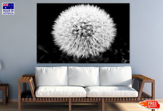 B&W Dandelion Flower Closeup Photograph Print 100% Australian Made