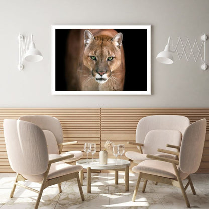Puma Portrait Photograph Home Decor Premium Quality Poster Print Choose Your Sizes