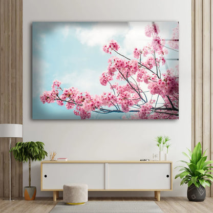 Blossom Flower Tree Photograph Acrylic Glass Print Tempered Glass Wall Art 100% Made in Australia Ready to Hang