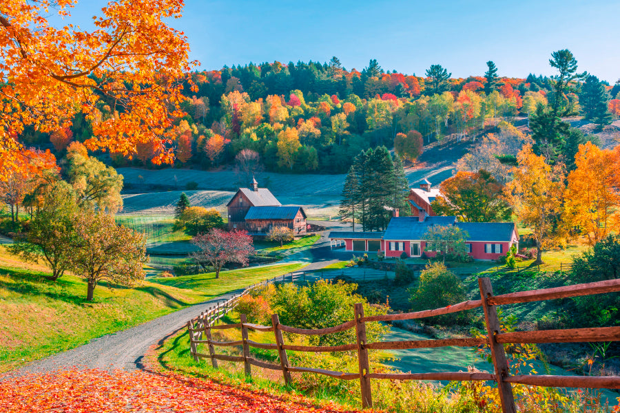 Bella Home Early Autumn Foliage Scene of Houses Print Canvas Ready to hang