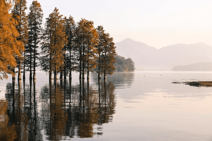 Autumn in Finland with Lake Photograph Print 100% Australian Made