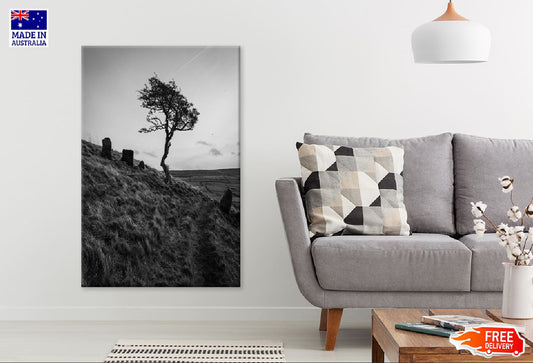 Alone Tree on Grass Hill B&W View Photograph Print 100% Australian Made