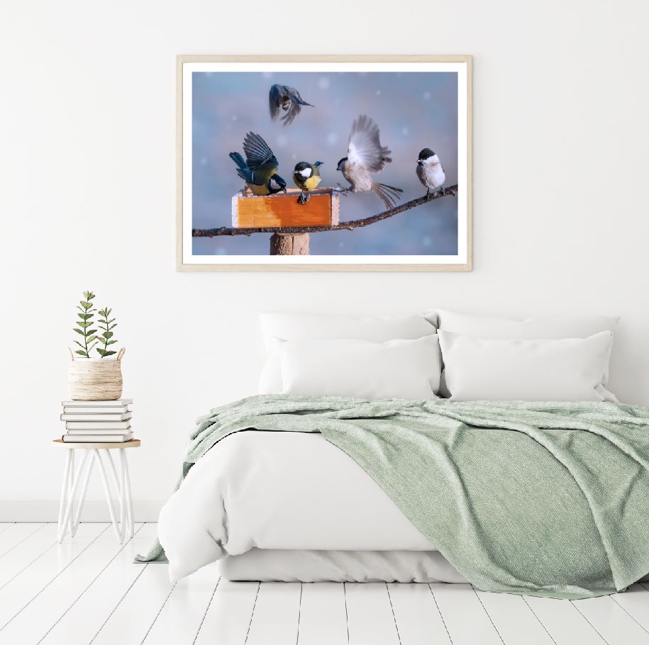 Birds on Fence Scenery Photograph Home Decor Premium Quality Poster Print Choose Your Sizes