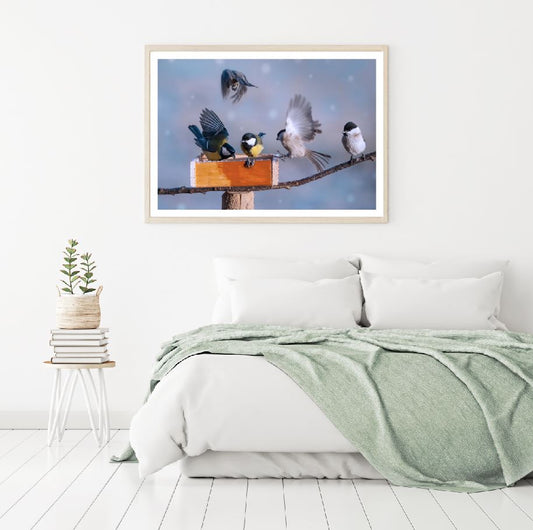 Birds on Fence Scenery Photograph Home Decor Premium Quality Poster Print Choose Your Sizes