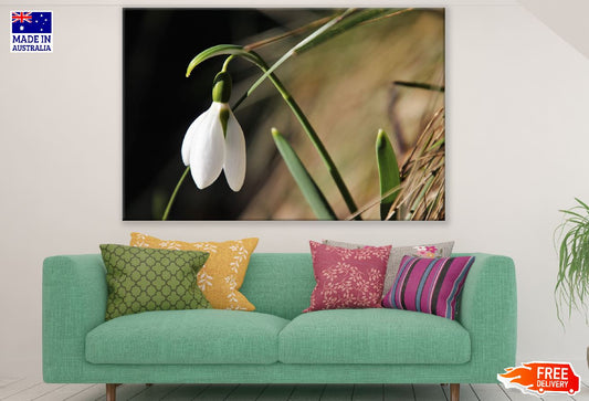 White Early Spring Flower Photograph Print 100% Australian Made