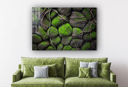 Rocks in the Moss Print Tempered Glass Wall Art 100% Made in Australia Ready to Hang