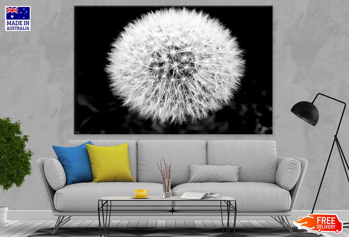 B&W Dandelion Flower Closeup Photograph Print 100% Australian Made