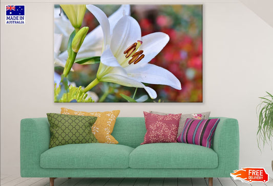 White Lily Flower Closeup Photograph Print 100% Australian Made