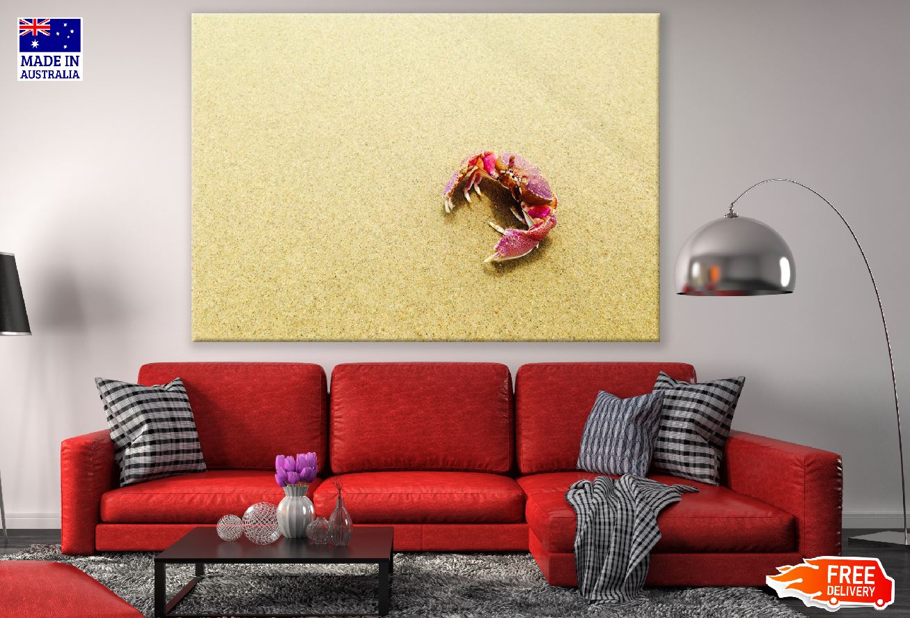 Crabs on the Beach Photograph Print 100% Australian Made