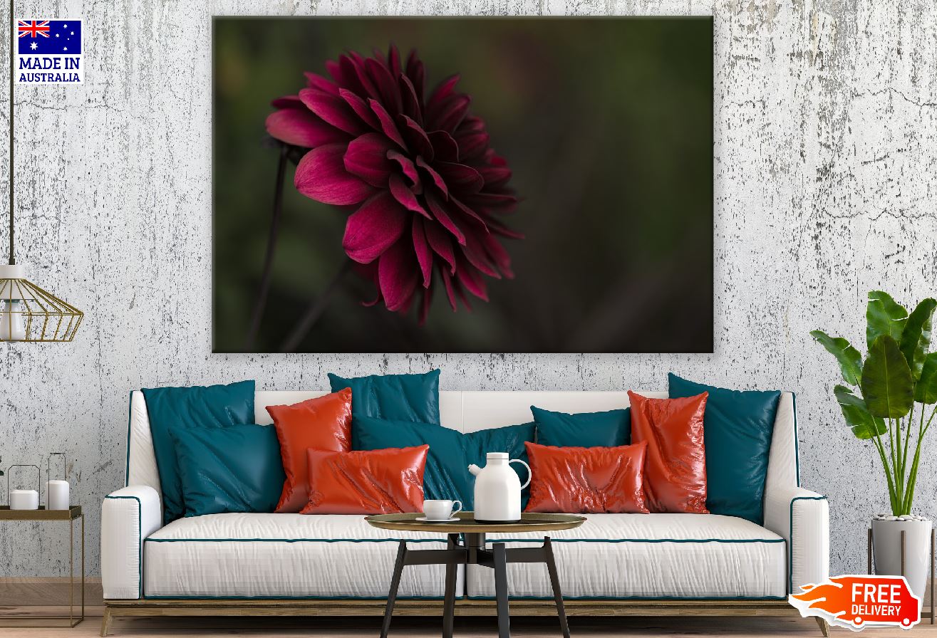 Dark Red Dahlia Flower View Photograph Print 100% Australian Made