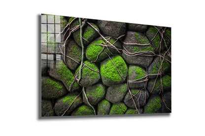 Rocks in the Moss Print Tempered Glass Wall Art 100% Made in Australia Ready to Hang