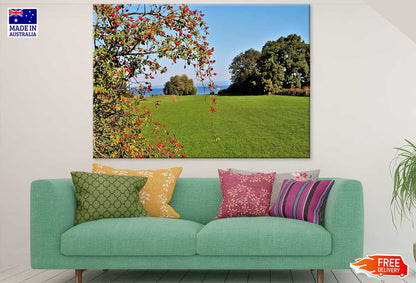 Fruit Tree & Bushes Near Sea Photograph Print 100% Australian Made