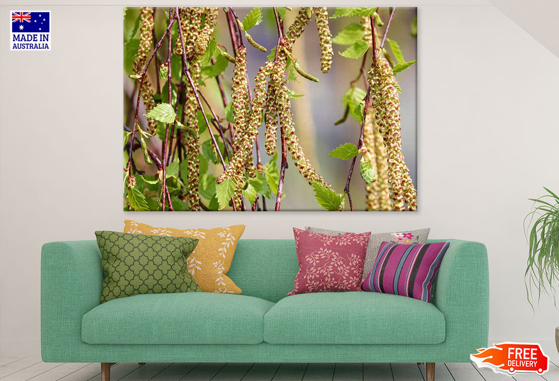 Birch Tree Closeup Photograph Print 100% Australian Made