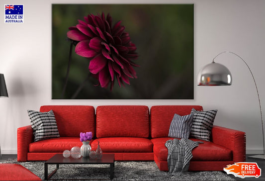 Dark Red Dahlia Flower View Photograph Print 100% Australian Made