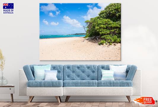Trees On Sea Shore & Sea Sky View Print 100% Australian Made