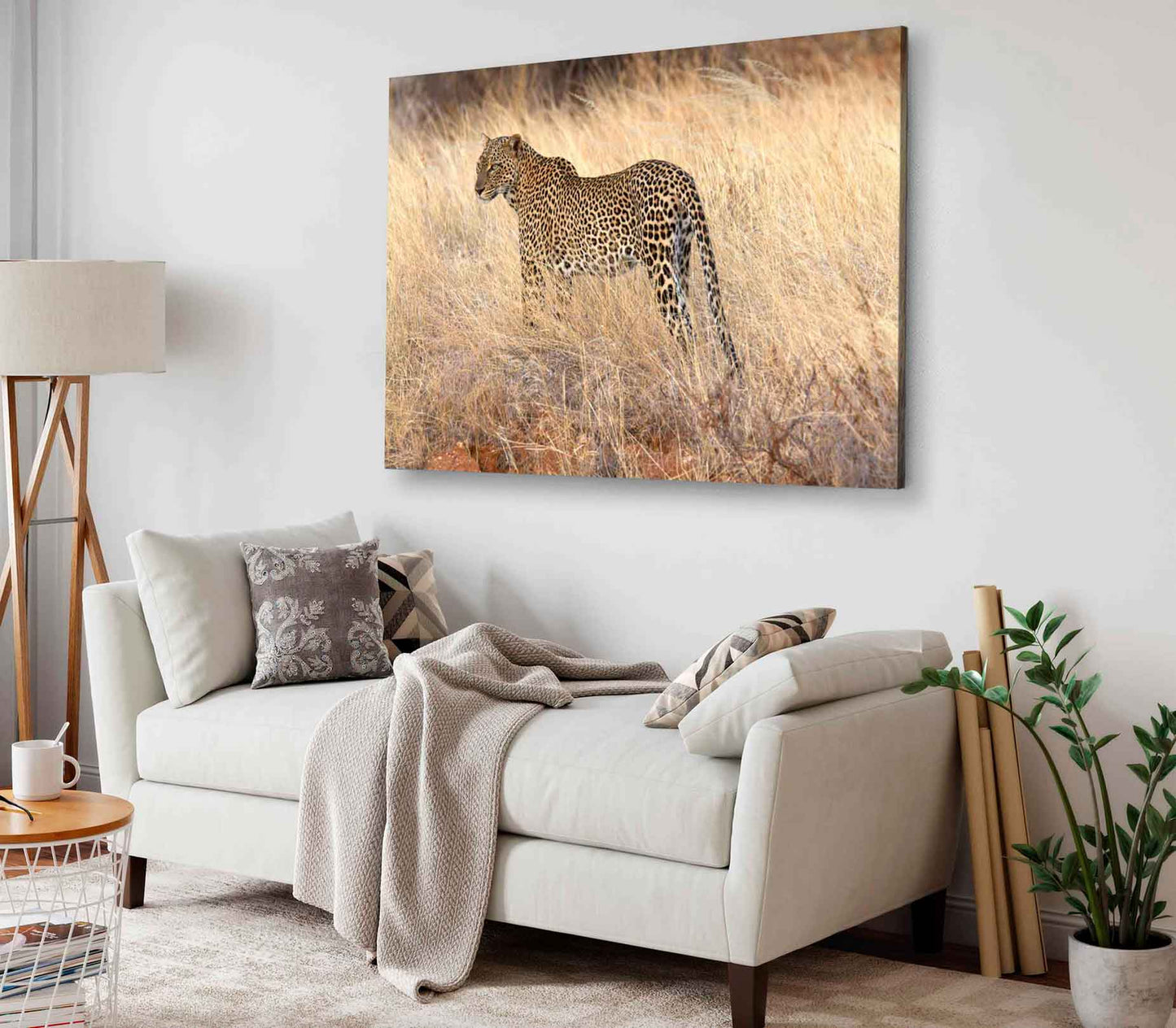 Bella Home Adult Leopard In Dry Brown Grass Print Canvas Ready to hang