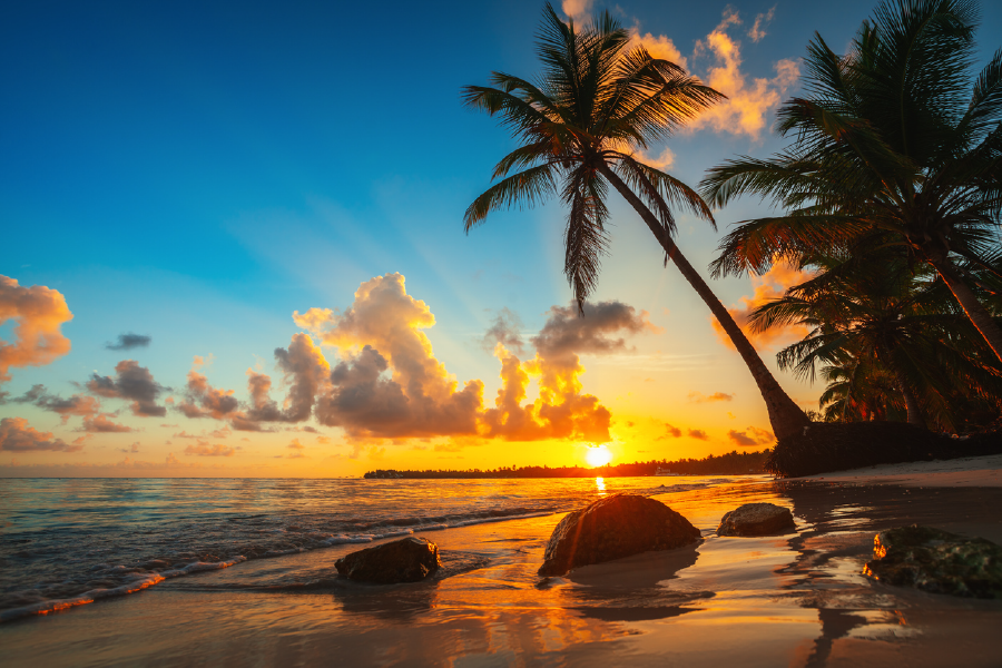 Palm Trees & Sunset Sky Scenery View Photograph Print 100% Australian Made