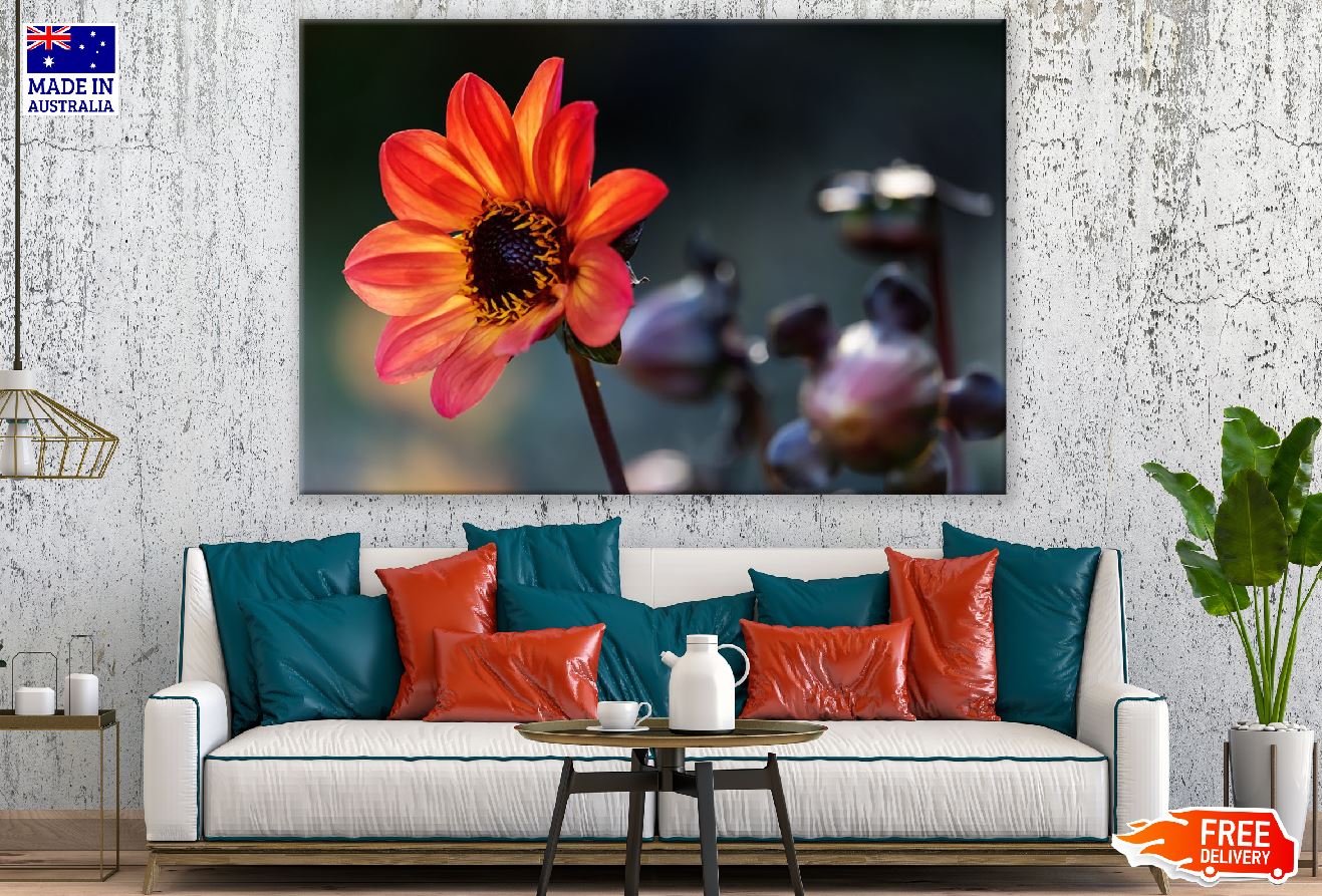 Orange Dahlia Flower Closeup Photograph Print 100% Australian Made