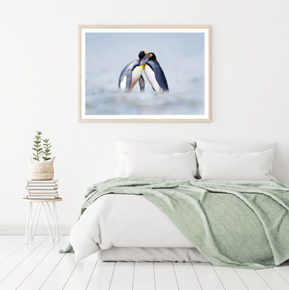 Penguins Closeup Photograph Home Decor Premium Quality Poster Print Choose Your Sizes