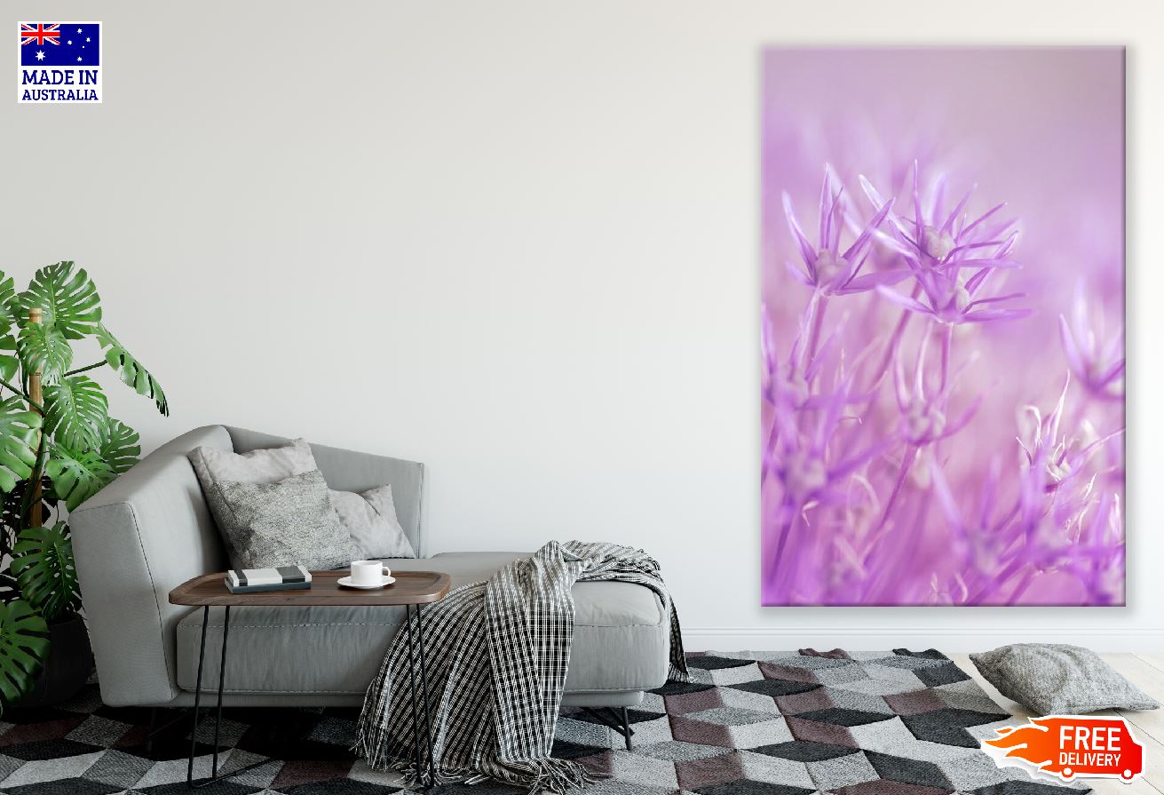 Purple Garlic Flowers Closeup Photograph Print 100% Australian Made