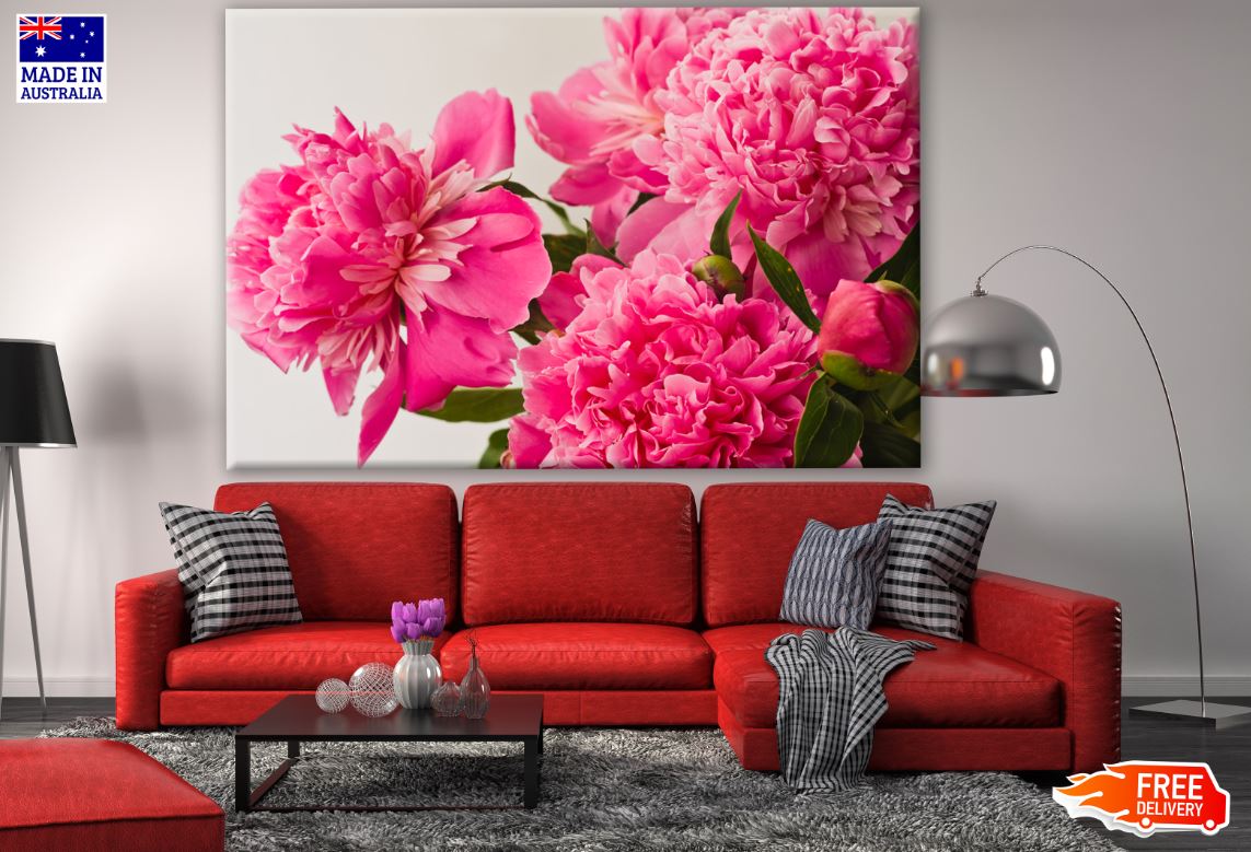 Pink Flower Closeup Photograph Print 100% Australian Made