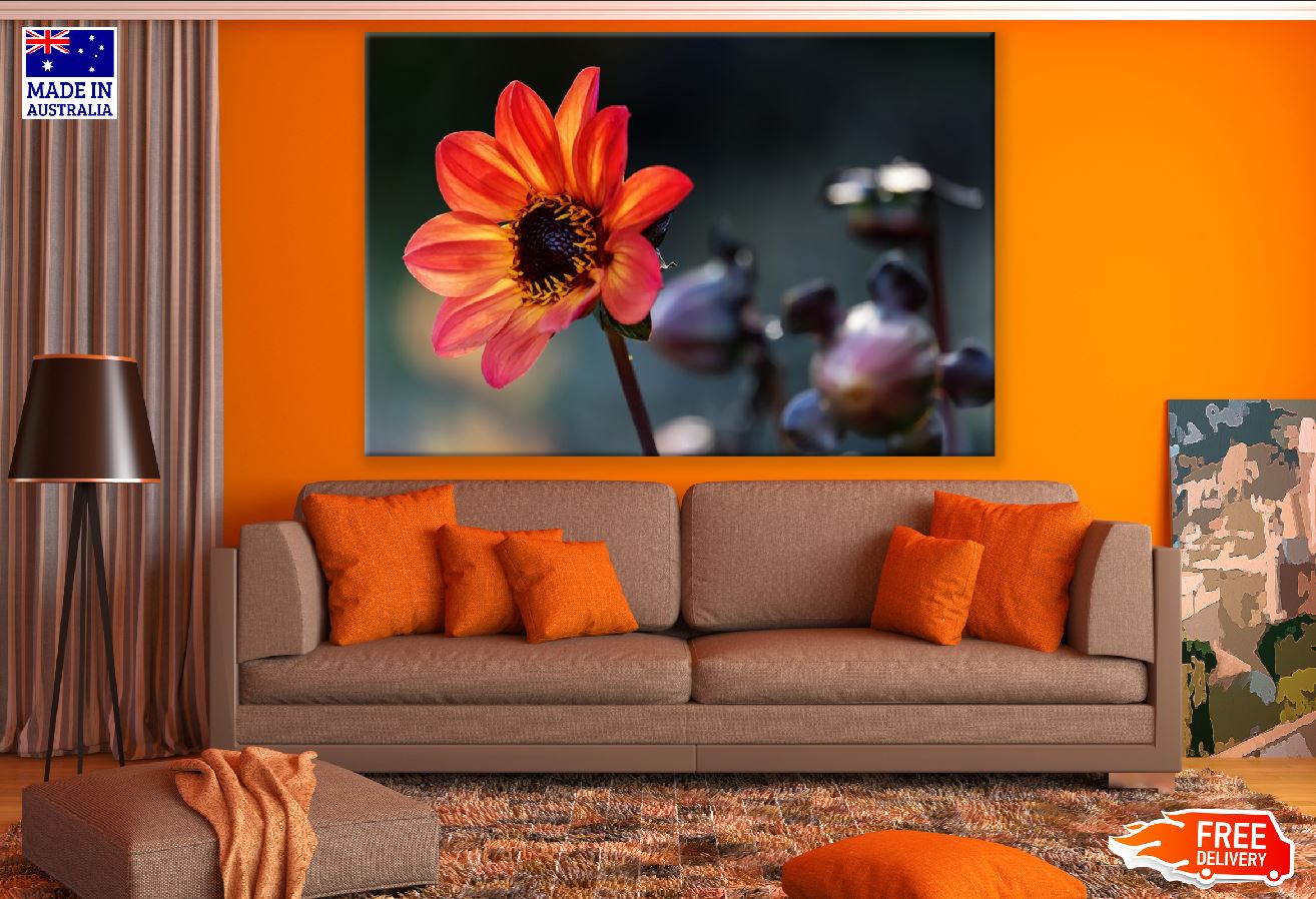 Orange Dahlia Flower Closeup Photograph Print 100% Australian Made