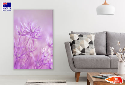 Purple Garlic Flowers Closeup Photograph Print 100% Australian Made