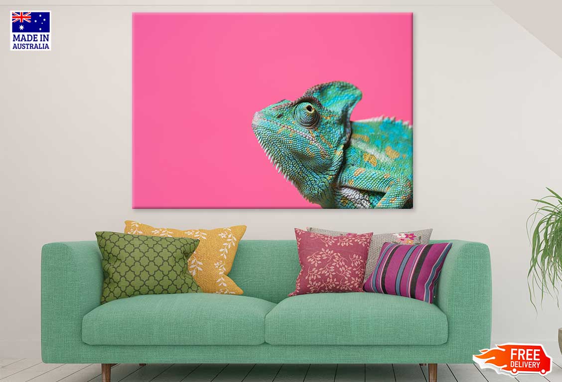 Colorful Chameleon Closeup View Photograph Print 100% Australian Made