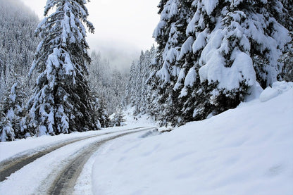 Snow Covered Trees with Road & Snow Field Photograph Print 100% Australian Made