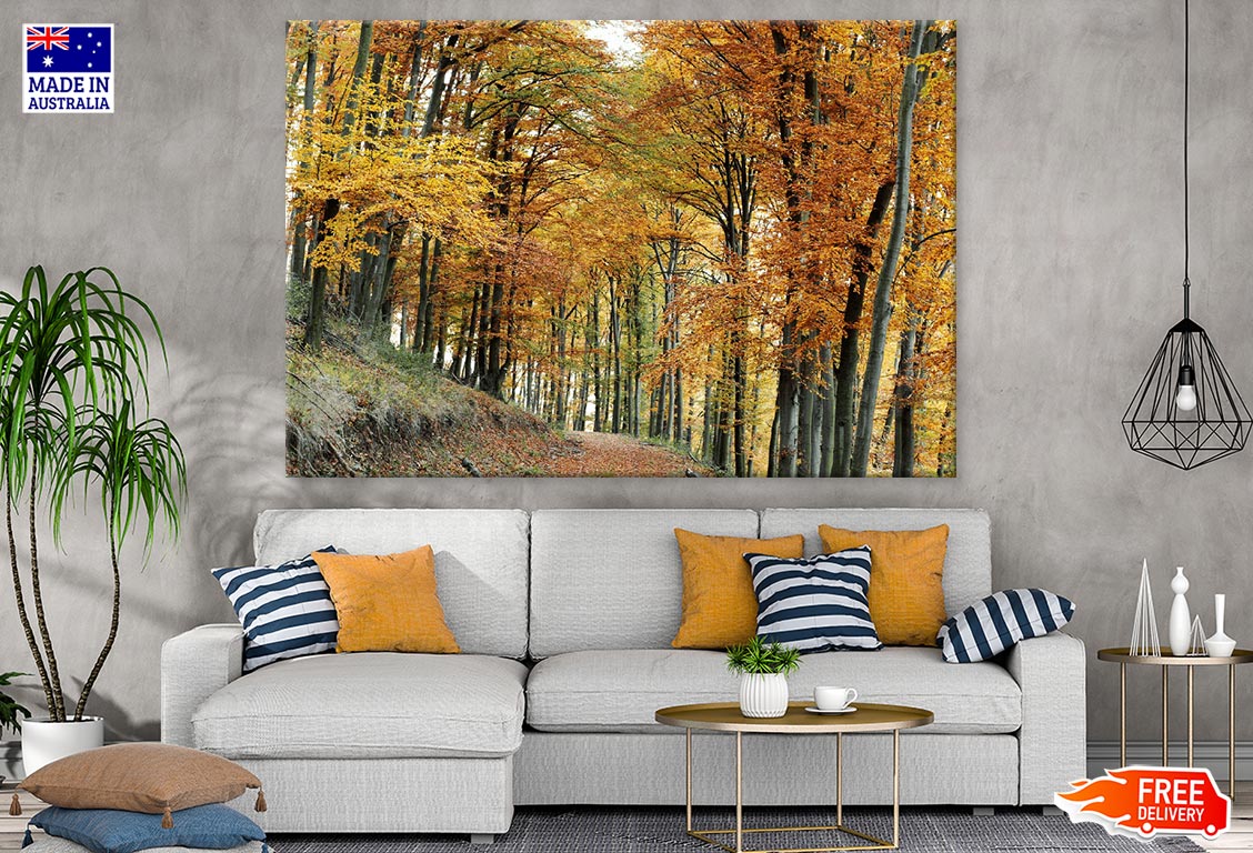 Maple Tree Forest Photograph Print 100% Australian Made