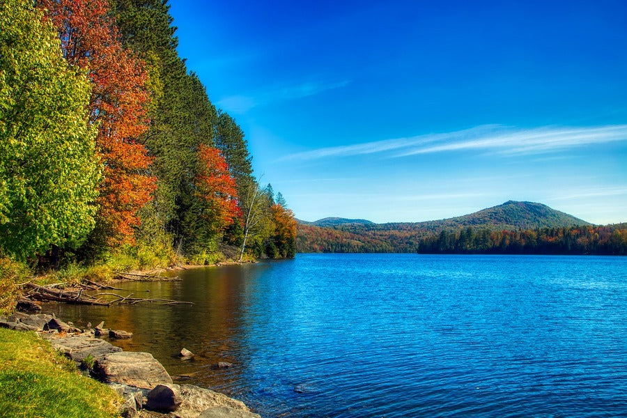 Autumn Molly's Falls Pond State Park Photograph Print 100% Australian Made