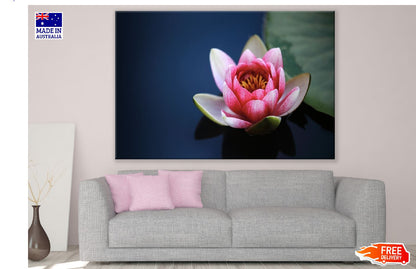 Pink Lotus Flower Closeup Photograph Print 100% Australian Made