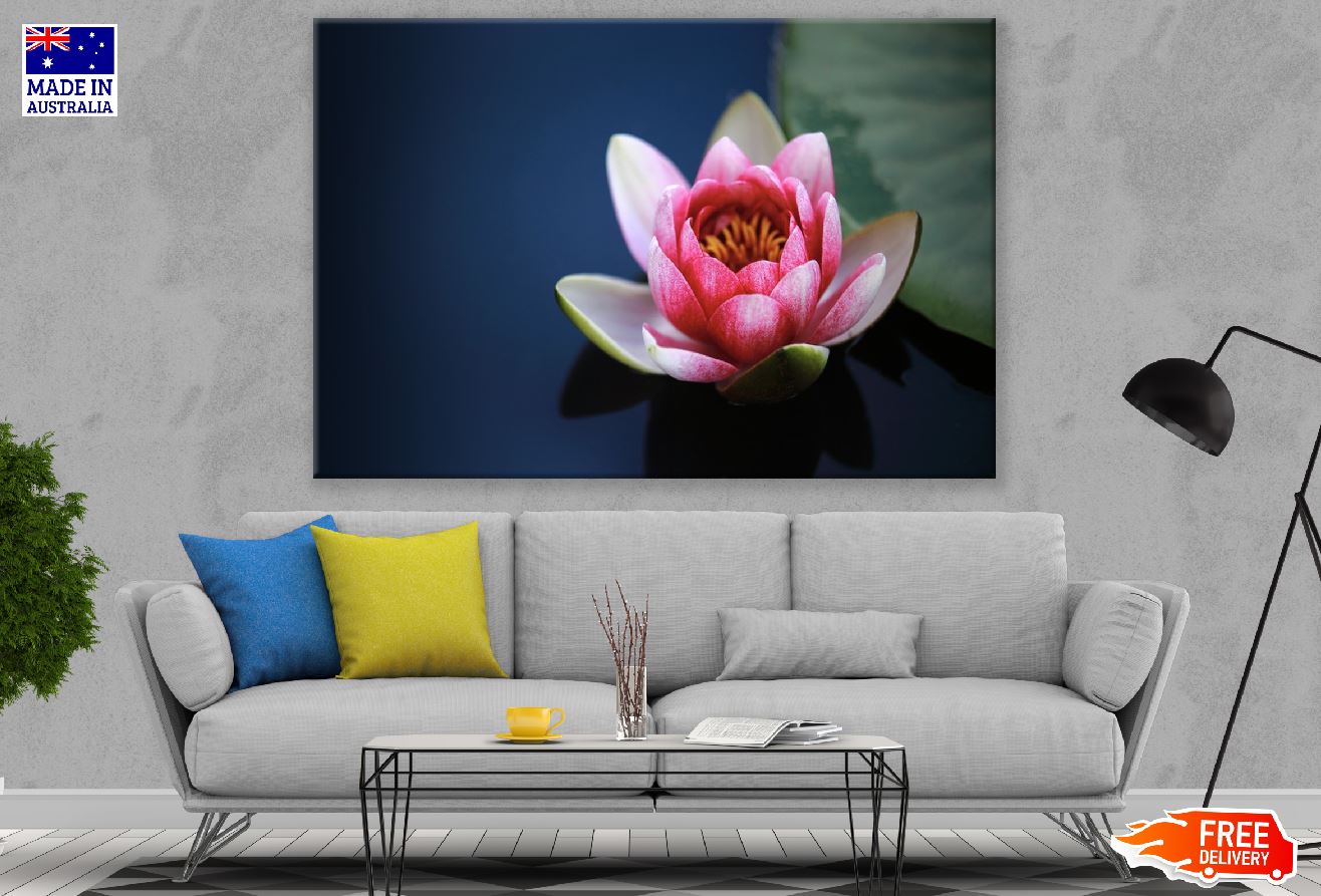Pink Lotus Flower Closeup Photograph Print 100% Australian Made